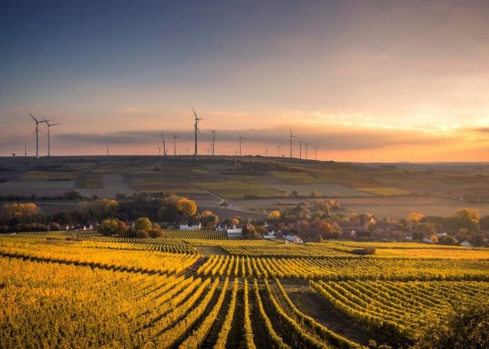 Solar field at sunset
